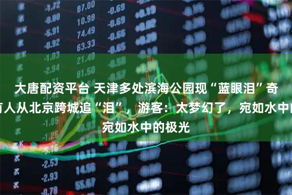 大唐配资平台 天津多处滨海公园现“蓝眼泪”奇观，有人从北京跨城追“泪”，游客：太梦幻了，宛如水中的极光