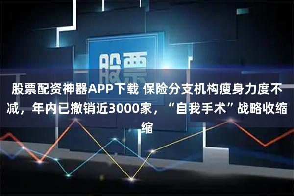 股票配资神器APP下载 保险分支机构瘦身力度不减，年内已撤销近3000家，“自我手术”战略收缩