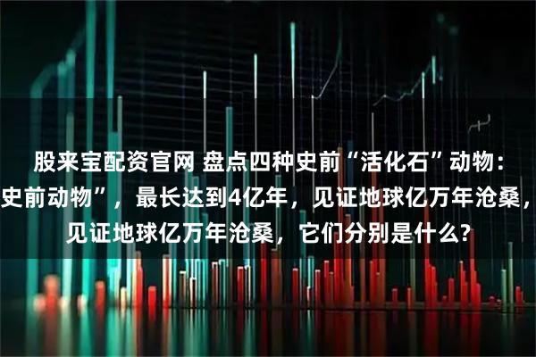 股来宝配资官网 盘点四种史前“活化石”动物：至今尚未灭绝的“史前动物”，最长达到4亿年，见证地球亿万年沧桑，它们分别是什么?