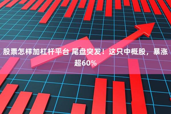 股票怎样加杠杆平台 尾盘突发！这只中概股，暴涨超60%